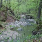 Jelenia Dolina – Miejsce wypoczynku z możliwością kąpieli w jeziorze