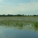 Międzynarodowy Festiwal Tańca BALTIC CUP